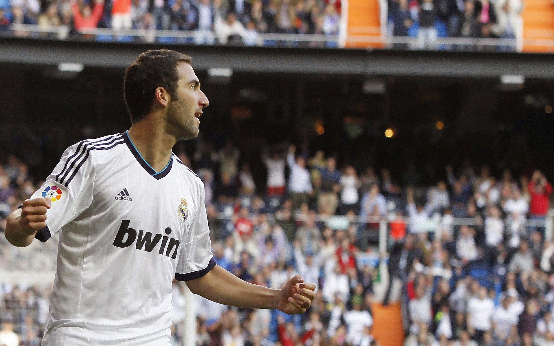 体育圈亮点：女子足球场上的巅峰表现！，女子足球场地和男子一样吗