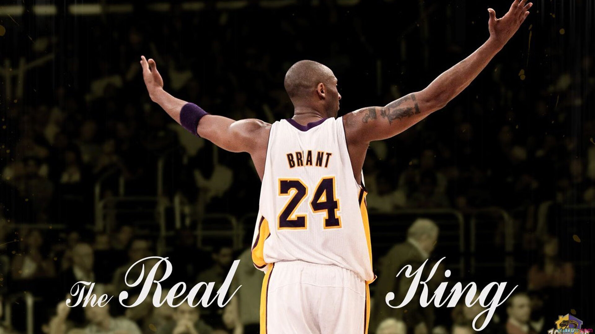 全球球场风云：篮球豪门争霸擂台燃情开赛，球场风云挑战豪门技巧